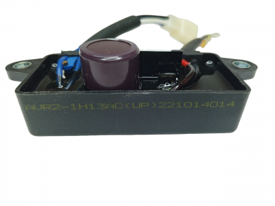 Блок AVR 2kW BG2500BS/GG1300